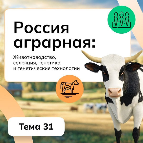 Россия - мои горизонты 24.04.2025.